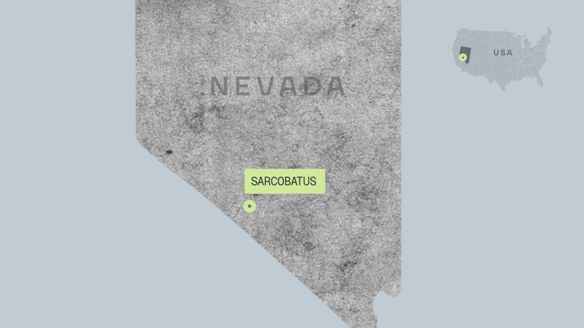 Sarcobatus Flat, Nevada location map